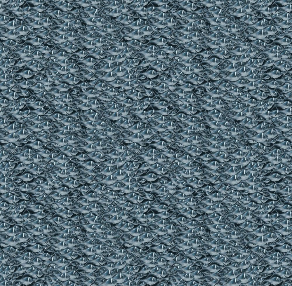 School of fish Wallpaper